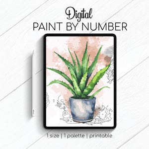 May include: Digital paint by number image of a green aloe plant in a gray pot on a pink and white background. The image is displayed on a tablet screen with a stylus next to it. The text "Digital Paint By Number" is at the top of the image.