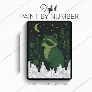 Funny Raccoon - Paint By Number for Procreate - Color By Numbers Digital Kit - Brain Yoga