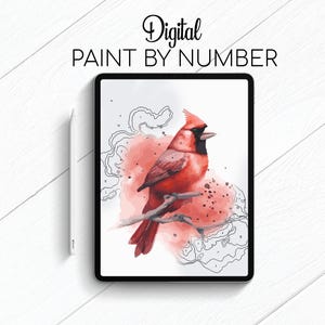 Red Cardinal - Paint By Number for Procreate - Color By Numbers Digital Kit - Brain Yoga