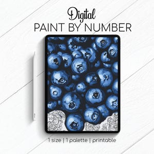 Blueberries - Paint By Number for Procreate - Color By Numbers Digital Kit - Brain Yoga