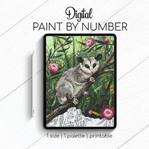 Possum - Paint By Number for Procreate - Color By Numbers Digital Kit - Brain Yoga