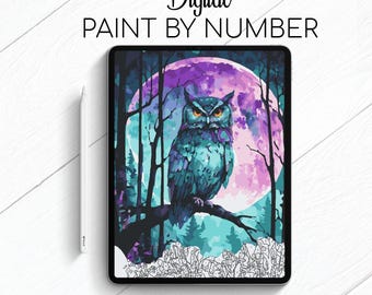 Owl of the Magic Forest - Paint By Number for Procreate - Color By Numbers Digital Kit - Brain Yoga