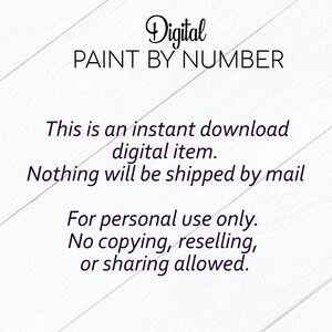 Puede incluir: Fondo blanco con las palabras "Digital Paint by Number" en escritura negra. El texto indica que es una descarga digital instant&aacute;nea, sin env&iacute;o. Solo para uso personal, no se permite copiar, revender ni compartir.