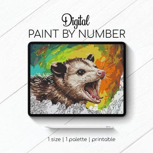 Funny Possum - Paint By Number for Procreate - Color By Numbers Digital Kit - Brain Yoga