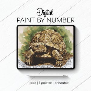 May include: Digital paint by number image of a brown tortoise on a green background. The image is displayed on a tablet screen with a stylus next to it. The text "Digital Paint by Number" is at the top of the image.
