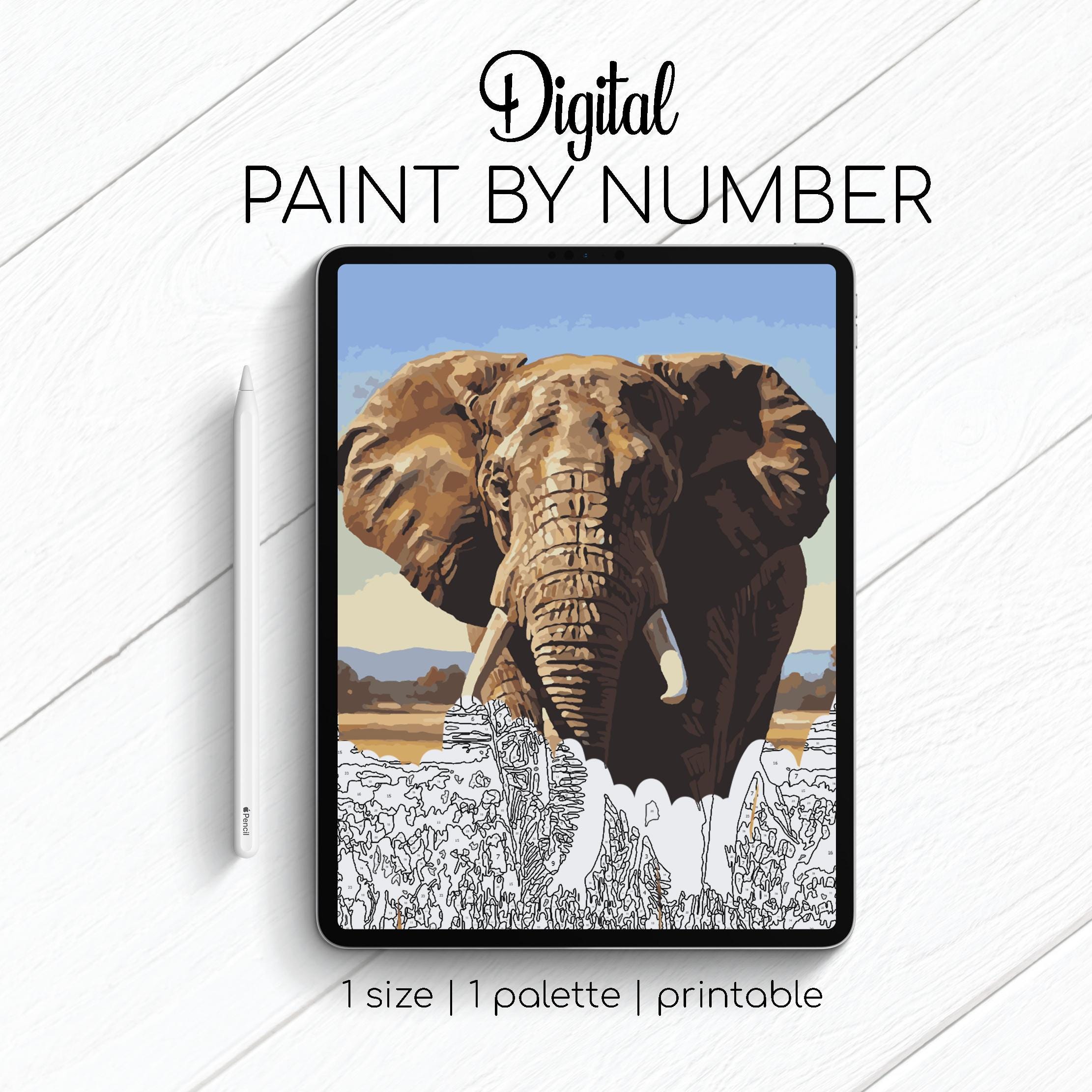 Paint by number elephant - Etsy België, image size:2222x2222