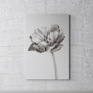 White Flowers | Romantic Print Tulip |White Flowers Art |White Beige Black Floral Print|Origina Tulip Print on Canvas | Floral Print | Tulip