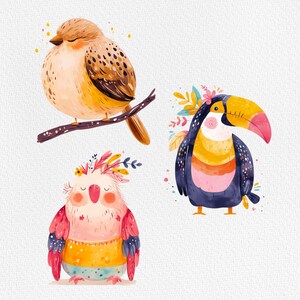 May include: Three cartoon birds with colorful feathers and floral accents. A brown bird with yellow accents sits on a branch. A toucan with a yellow beak and blue body has a floral crown. A pink bird with a yellow belly and floral crown.