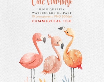 Aquarell Flamingo Clipart: Tropischer Sommer PNG (Kommerzielle Nutzung)