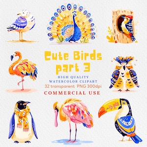 Paquete de imágenes prediseñadas de aves PNG de aves para álbumes de recortes digitales, creación de tarjetas, descarga instantánea de imágenes prediseñadas de aves, pájaros lindos de acuarela PNG.