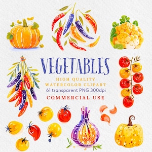 Aquarelle de légumes clipart, 61 légumes d'été PNG assortis, ferme clipart, légumes PNG, clipart végétarien, légumes du jardin imprimable.