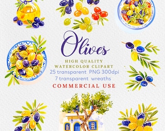 Clipart aquarelle rameau d'olivier : éléments graphiques PNG (téléchargement numérique)