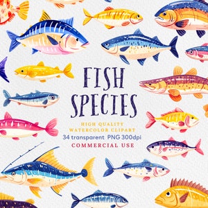 Clipart de espécies de peixes em aquarela, clipart de peixes, amantes de peixes, peixes coloridos, pesca em aquarela, peixes de água doce, uso comercial, peixes PNG.