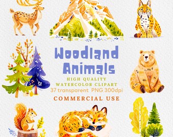 Clipart de animales del bosque en acuarela: Vivero forestal PNG (Descarga digital)