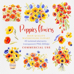 Aquarelle fleur de pavot Clipart, aquarelle fleurs sauvages PNG, Clipart floral, Clipart mariage botanique, Clipart, printemps été, coquelicots PNG.