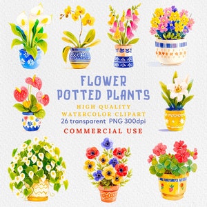 Aquarell Haus Pflanzen Clipart, Topfpflanzen Clipart, Blumentopfpflanzen PNG, Zimmerpflanzen, im Grünen Haus, Planer Clipart, Zimmerpflanzen