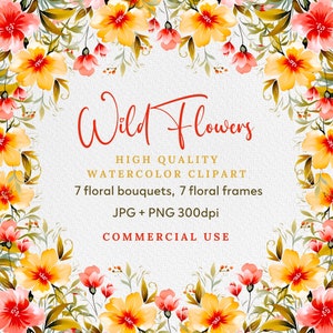 Boho Wilde Blumen, kommerzielle Nutzung, Aquarell Wilde Blumen Clipart, Wilde Blume PNG, Aquarell Blume PNG, Wilde Blumensträuße, Boho Blume
