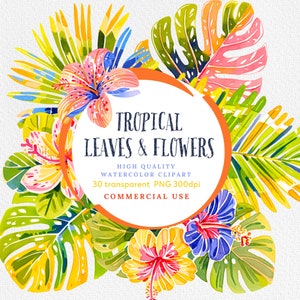 Watercolor Tropical Clipart: Leaves & Flowers PNG (Commercial Use)