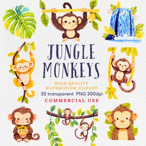 Monkey Clipart, Cute Monkey PNG,  Watercolor Monkey, Safari Animal Clipart, Jungle PNG, Children Book illustration, Commercial Use.