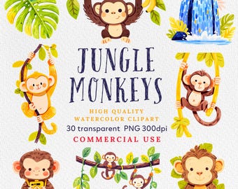 Imágenes prediseñadas de mono, mono lindo PNG, mono de acuarela, imágenes prediseñadas de animales de safari, PNG de jungla, ilustración de libros infantiles, uso comercial.