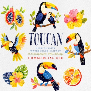Clipart di tucani, clipart di tucani ad acquerello - uccelli tropicali con ibisco e foglie in formato PNG download immediato per uso commerciale