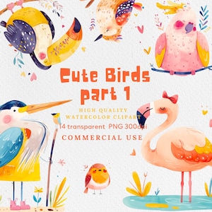Paquete de imágenes prediseñadas de aves PNG de aves para álbumes de recortes digitales, creación de tarjetas, descarga instantánea de imágenes prediseñadas de aves, pájaros lindos de acuarela PNG.