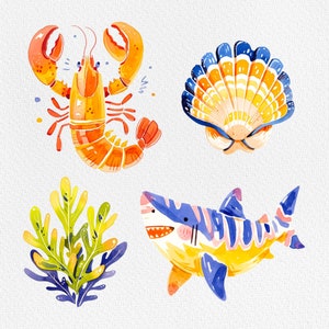 Pu&ograve; includere: Un'illustrazione ad acquerello di un'aragosta, una conchiglia, uno squalo e alghe. L'aragosta &egrave; arancione e rossa, la conchiglia &egrave; blu e gialla, lo squalo &egrave; blu e giallo e le alghe sono verdi.