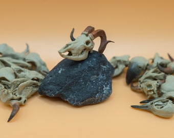 Miniatur Ziegenschädel Replikat: Handbemaltes Resin, 1:24 oder 1:12