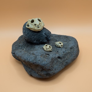 May include: Three small, beige, ceramic sculptures resembling skulls, arranged on a dark gray, rough-textured rock.