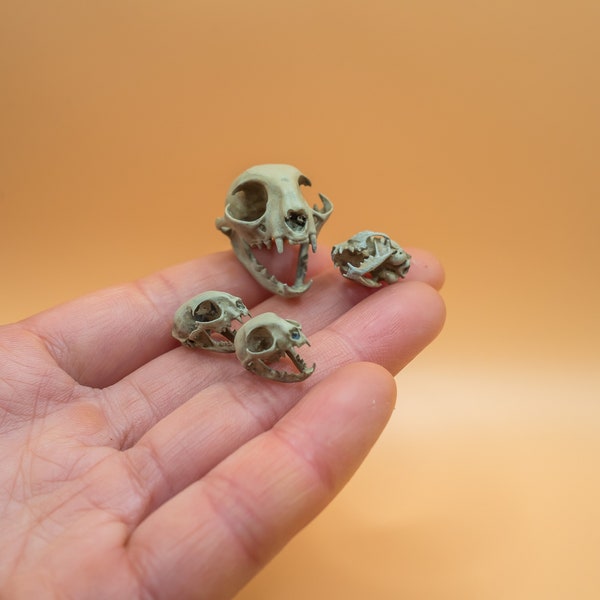 1/6 1/3 Scale Domestic Cat Skull 3D Print Replica Miniature Custom Hand Painted Animal Home Decor Mini Taxidermy Small Size Skeleton Bone