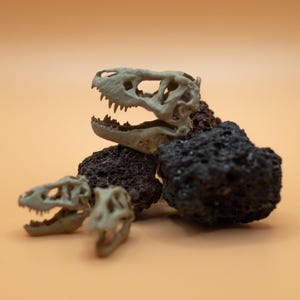 1/100 1/60 1/48 Scale Tyrannosaurus T-Rex Skull Miniature 3D Print Replica Dino Dinosaur Hand Painted Bone Skeleton Small Decoration Gift