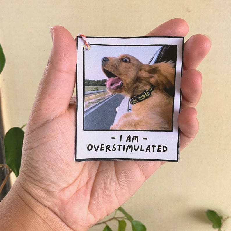 Pu&ograve; includere: Una piccola carta rettangolare con una foto di un cane con la testa fuori dal finestrino di un'auto, con la lingua di fuori e le orecchie al vento. Il testo "- I AM - OVERSTIMULATED" &egrave; stampato sotto la foto. La carta &egrave; tenuta in mano.