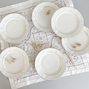 6 white and gold porcelain dinner plates, Kronester, Bavaria, mid-20th century