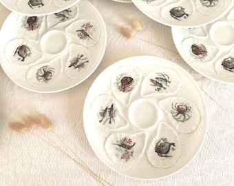 May include: A white ceramic oyster plate featuring six molded shell-shaped indentations arranged around a central circular well. Each indentation displays a detailed, colorful illustration of various marine life, including crabs, fish, and shrimp.