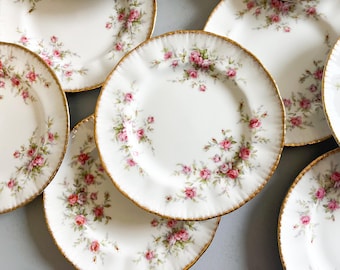 6 Paragon Royal Albert Victoriana Rose Porcelain Small Plates