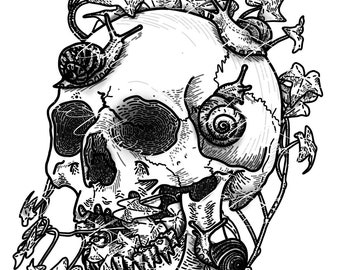 Ivy covered skull