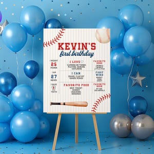 Rookie of the Year Birthday Stats Sign, Baseball 1st Birthday Party Milestone, Sports 1st Year Stats Poster, Little Slugger Party Decor SA1