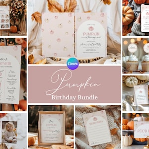 Kürbisse zum ersten Geburtstag Bundle, unser kleiner Kürbis 1. Geburtstag Bundle, rosa Kürbis Geburtstag einladen, Herbst Erster B-Day Party Dekor PN1