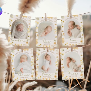 May include: Six cards with a floral design and a bee motif. Each card features a baby in a different pose and a number representing their age in months. The cards read "Our Little Honey" and include the phrases "Newborn", "One Month", "Two Months", "Three Months", "Four Months", and "Five Months".