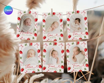Berry First Birthday Monthly Photo Banner, Strawberry 1st Birthday Party Photo Banner, Berry Sweet First Year Monthly Milestone Banner SR1