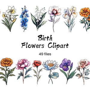 Geboortemaand bloem clipart, geboortebloem 49 png-bundel, geboortemaand bloemboeket, roos, madeliefje, klaproos, pioenroos geïllustreerde afdrukbare bestanden