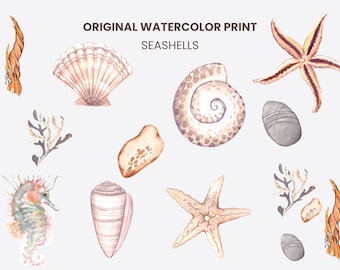 Clipart di conchiglie ad acquerello: pacchetto digitale di arte marina (PNG)