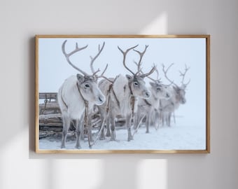 Reindeer in the Snow, Horizontal Winter Digital print, Instant Digital Download Vintage Wall Art
