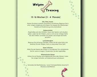 May include: A green and white printable guide for training puppies between 13 and 16 weeks old. The guide includes tips on teaching commands like sit, stay, and come, as well as housebreaking, leash training, and name recognition.