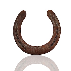 rusty horseshoe