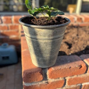 Metal Outdoor Planter – 23cm Herb & Flower Pot, Industrial Garden Decor