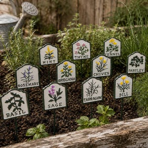 Könnte beinhalten: Ein Set aus elf weißen Pflanzenschildern aus Metall mit dunkelgrünen Rändern und Stäben. Jedes Schild zeigt eine farbige botanische Illustration und den Namen eines Krauts: Basil, Rosemary, Mint, Sage, Oregano, Thyme, Tarragon, Chives, Fennel, Dill und Parsley.