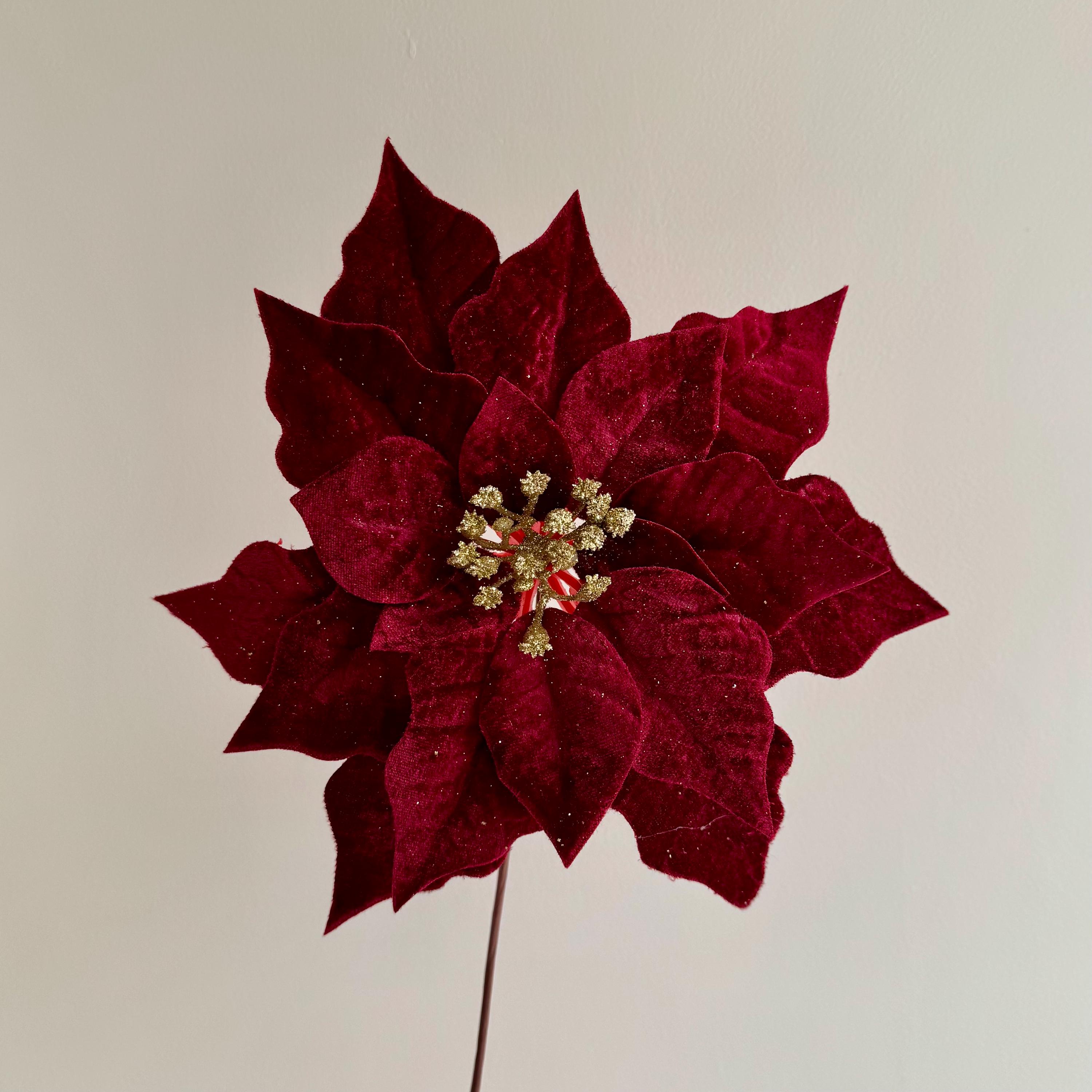 Red Velvet Poinsettia With Gold Glitter Centre - Christmas Flower ...