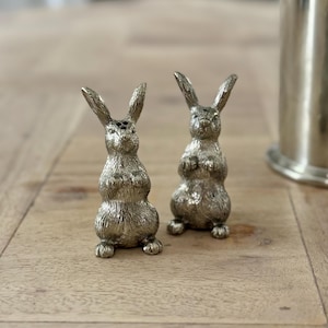Juego de salero y pimentero en miniatura de conejo en peltre
