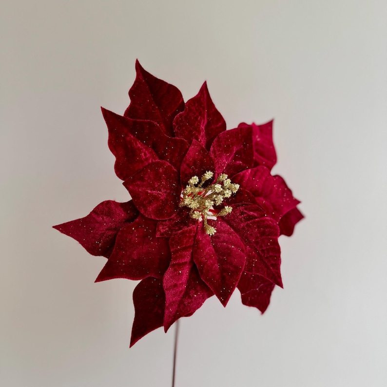 Red Velvet Poinsettia With Gold Glitter Centre - Christmas Flower ...
